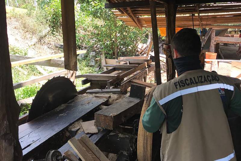 ntre os crimes flagrados pela Semas e BPA, destaque para o funcionamento ilegal, em Bagre, de uma serraria que foi interditada